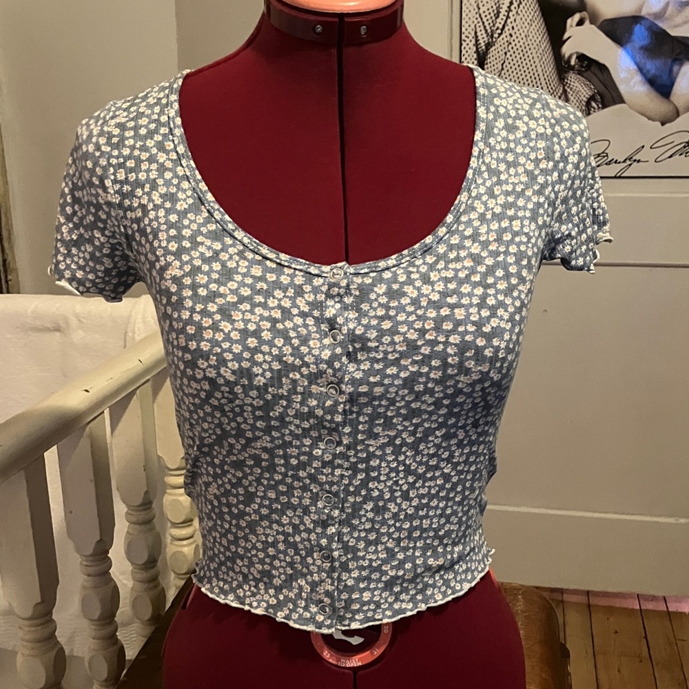 2/35$ American Eagle Outfitters Blue Floral Crop Top